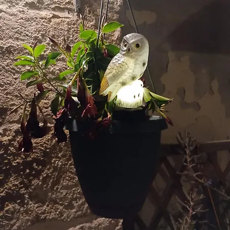 Σπίτι διακοπών Il Cortile Magico *